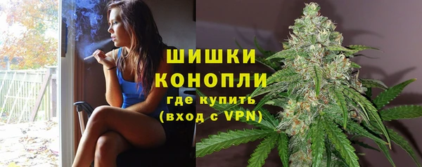 дживик Аркадак