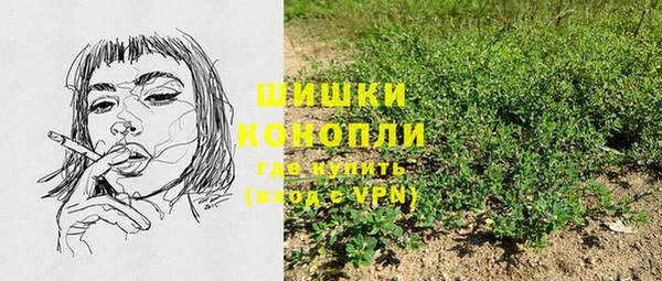 дживик Аркадак