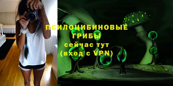 прущий лед Алексеевка
