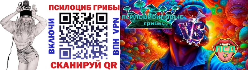 Псилоцибиновые грибы Psilocybine cubensis Ликино-Дулёво